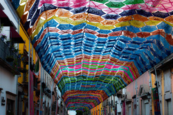 Callejera 12
