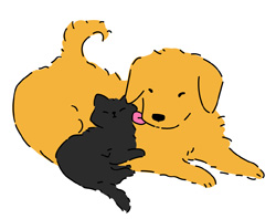 Cat & Dog